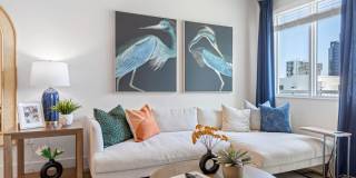 Tortoise One Gallery 7