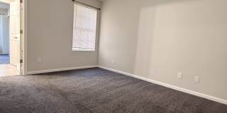 299 Leese Dr Gallery 11