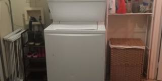 1032 Curran Street Gallery 20