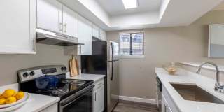 Reflections on 92nd Gallery 24