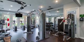 Westchase Forest Gallery 4