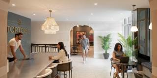 Tortoise One Gallery 23