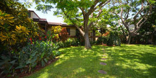 Coconut Inn Gallery 16