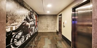 Excelsior Gallery 17