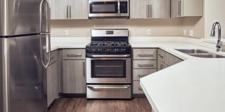 Alta Vista Gallery 1