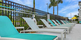 Springs at Coral Shores Gallery 40