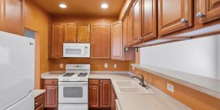 9023 BREWER CREEK Place Gallery 16