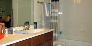 TGM Bermuda Island Gallery 9