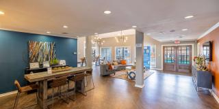 Alena Apartments Gallery 28