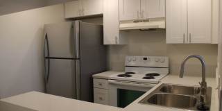 2 BR, 1 and 1/2 BA Condo with 2 Parking Space Gallery 17