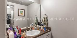 871 E 620 N Gallery 11