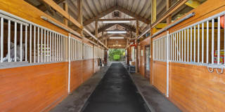 11861 Hawk Hollow Gallery 5