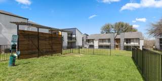 District 2308 Gallery 18