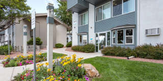 Central Heights Apartments Gallery 13