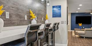 The Ashley Gallery 26