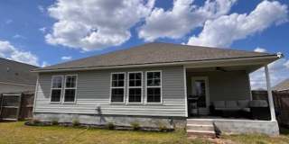Branch Point S/D Gallery 5