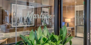 Marlowe Gallery 11