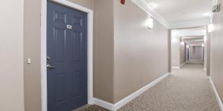 24636 WOOLLY MAMMOTH Terrace Gallery 4
