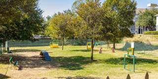 The Orion The Orion Gallery 23