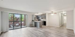 Grove at Alban Gallery 25