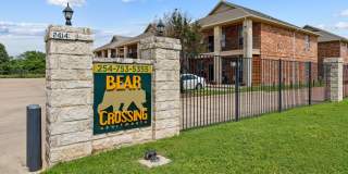 Bear Crossing Gallery 10