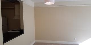 Spacious 1 Bed/1 Bath Condo in Wallingford/Fremont Gallery 3