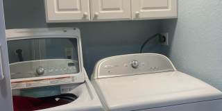 4251 Pine Hollow Circle Gallery 10