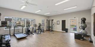 Crossings at Cheviot Gallery 8