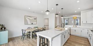 3024- Red Cardinal Lane Gallery 16