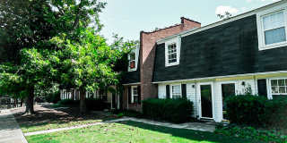 Mordecai On Clover Gallery 9