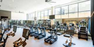 The Hayden Gallery 8