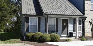 Dana Downs Gallery 32