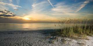 Beautiful furnished & turnkey ready  2/2 unit available now for an annual lease Gallery 48