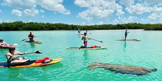 ** LUXURY WATERFRONT LIVING ** BRAND-NEW CONSTRUCTION  ** IMPERIAL SHORES OF BONITA SPRINGS ** 3 Bedrooms\3.5 Bathroom ** Seasonal  ** BE THE FIRST TO LIVE HERE ** DOLPHIN & MANATEE SIGHTINGS ** Gallery 5