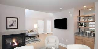 The Woods Gallery 4