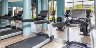 2Bayshore Gallery 45