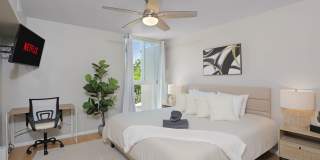 3054 Rue Dorleans Gallery 22
