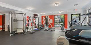 Elizabeth Station Gallery 19