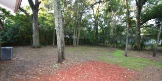 Charming 3/1 House Gallery 17