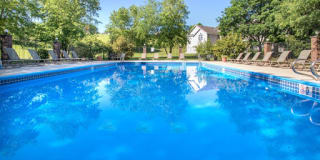 Wellington Apartments Gallery 3