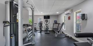 Marbella Park Gallery 14