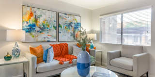 Newport Apartments Gallery 8
