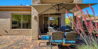 6951 E HIBISCUS Way Gallery 51