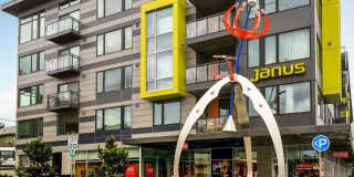 Janus Janus Gallery 20