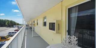 Dolphin Beach Gallery 22