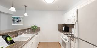 Parke Orcutt Gallery 18