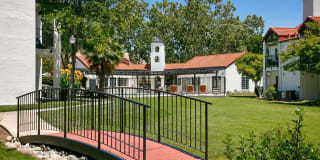 Laurel Creek Gallery 11