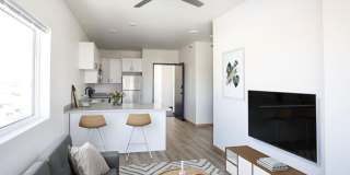 The Radius, Tea SD Gallery 1