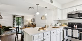 Cobalt Ridge Gallery 1