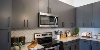 Solis Gainesville Gallery 2